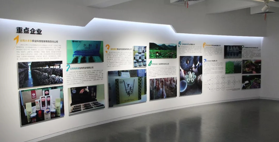 产业发展与精准扶贫.webp.jpg