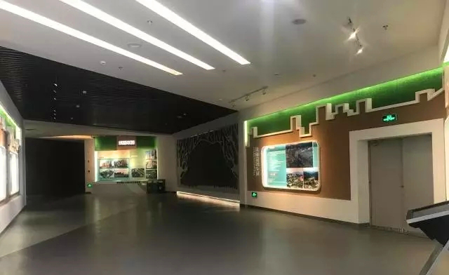 展厅.jpg
