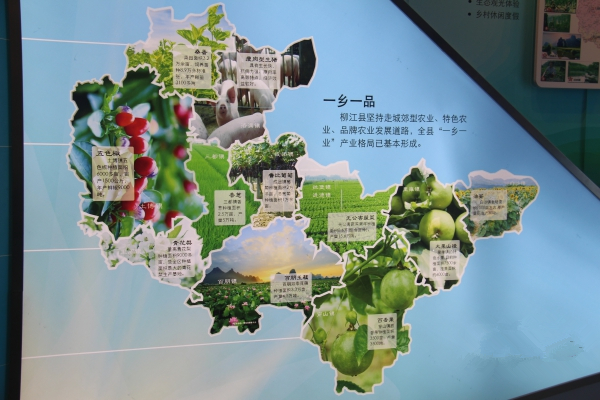 产业介绍.jpg