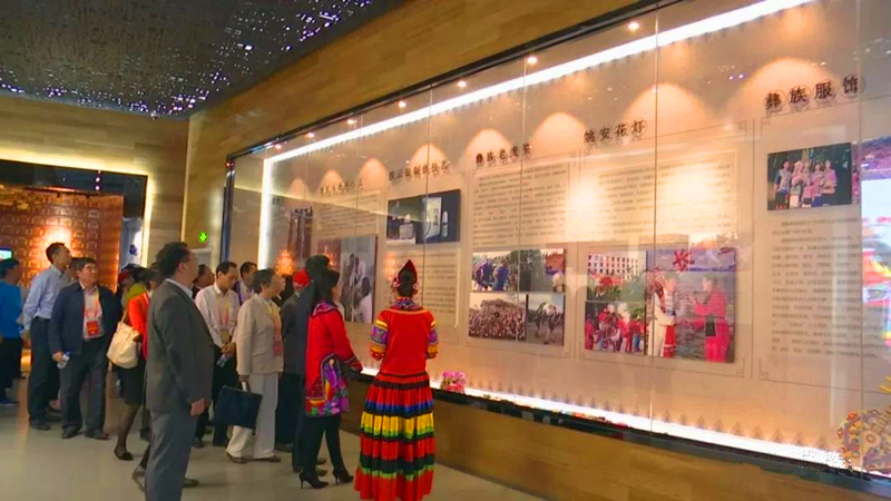 嘉宾参观城乡规划展示馆 赞叹彝州沧桑巨变.jpg
